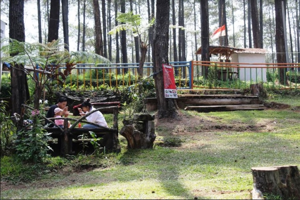 Tempat Wisata Bandung Hutan Pinus Tempat Wisata Indonesia