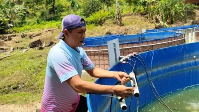 Warga Tanjungwangi Budidaya Ikan Sistem Bioflok karena Lebih Hemat Lahan dan Air