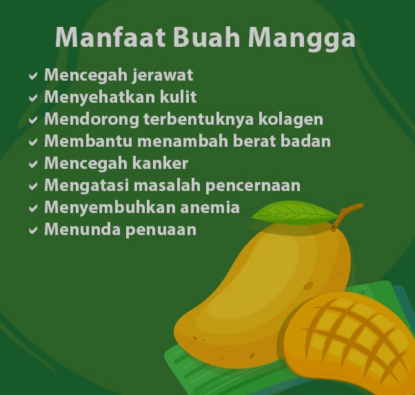 10 Manfaat Buah Mangga Nutrisi Penting Untuk Kesehatan Anda Pasundan Ekspres 6969