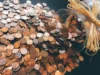 Daftar Uang Kuno Indonesia Termahal, Harganya Gak Masuk Akal