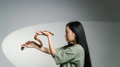 Ular-ular Mematikan di Dunia yang Sanggup Mematahkan Nyawamu (Image From: Pexels/MART PRODUCTION)