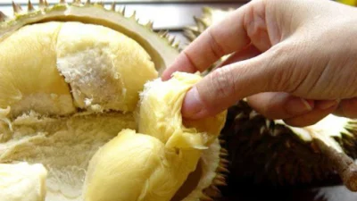 Makanan yang Tidak Boleh Disantap Bersama Durian
